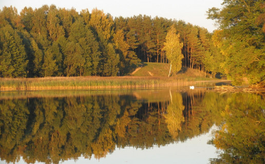 10_Bridvaišio piliaklanis.jpg